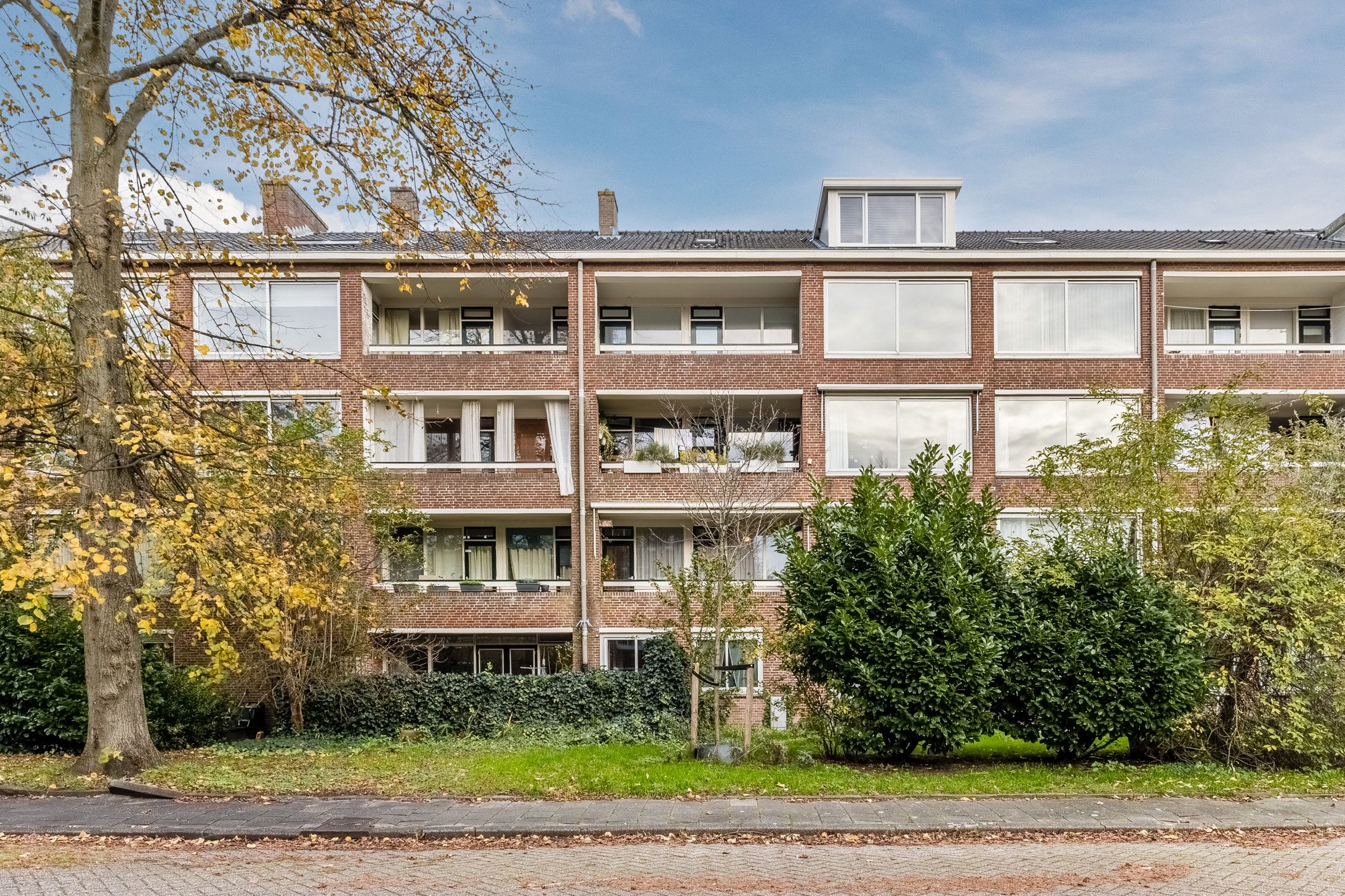 Foto 9 van Rietnesse 12-3