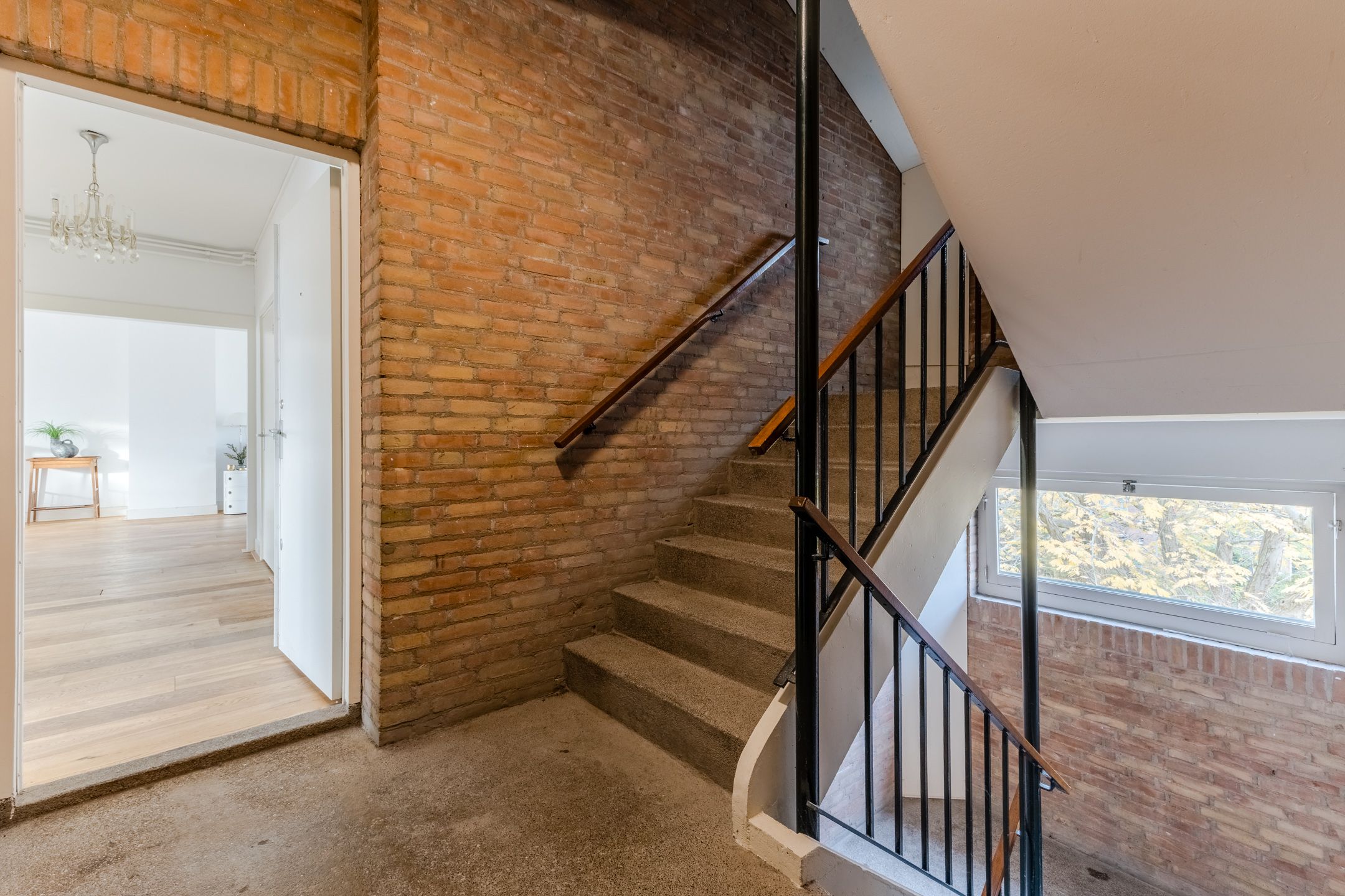 Foto 12 van Rietnesse 12-3