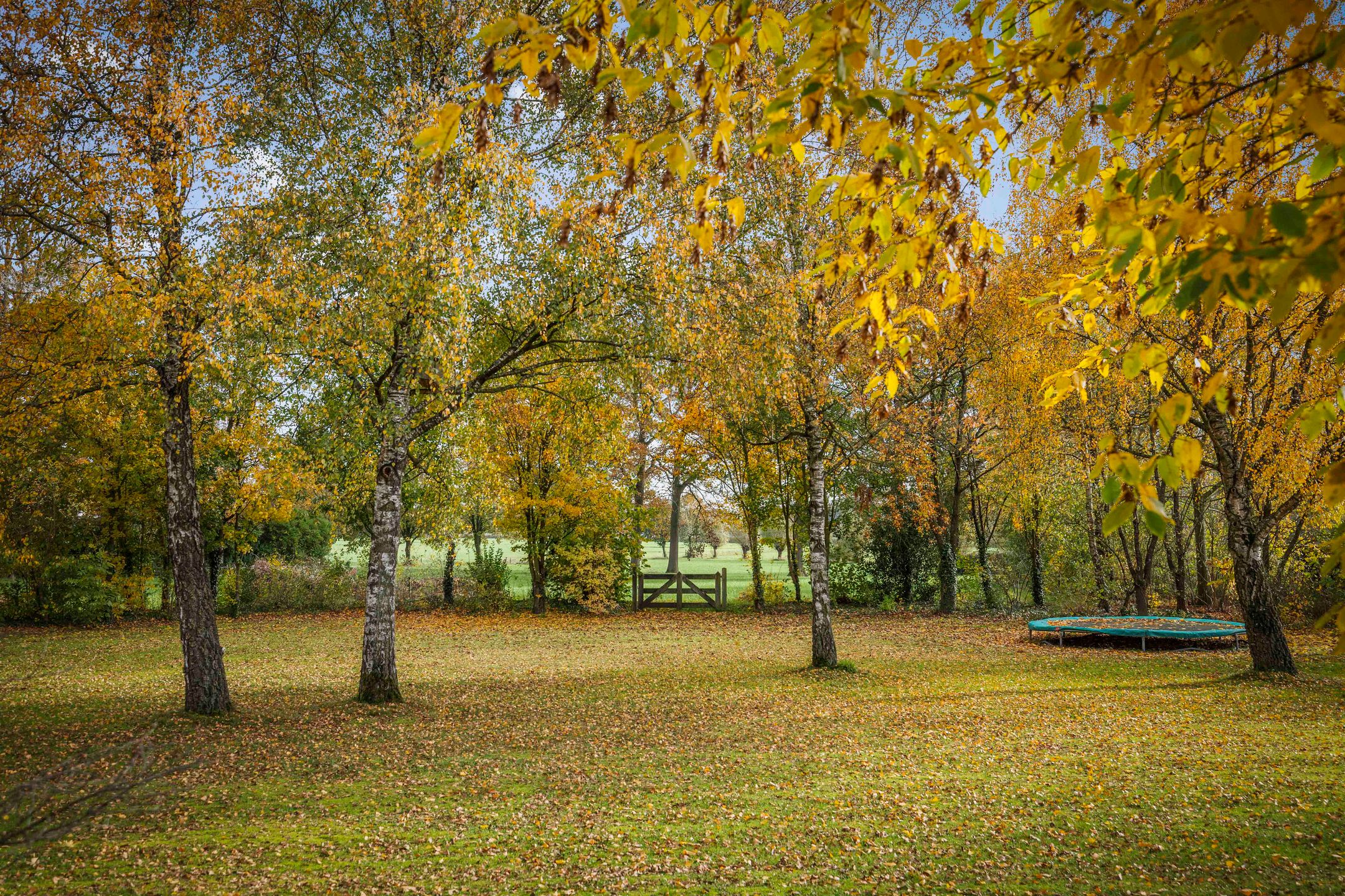 Photo 51 of Ehzerallee 8
