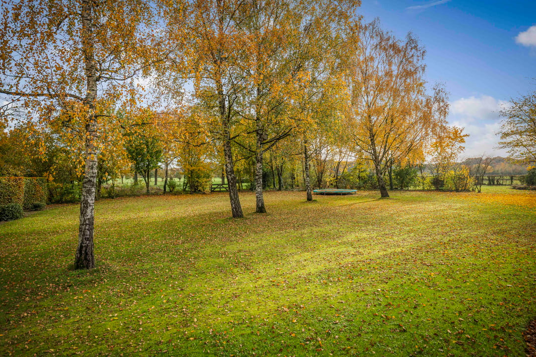 Photo 52 of Ehzerallee 8