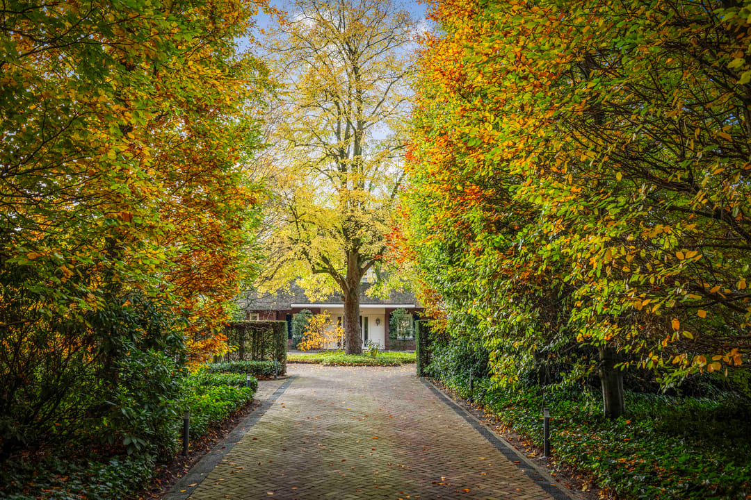 Photo 71 of Ehzerallee 8