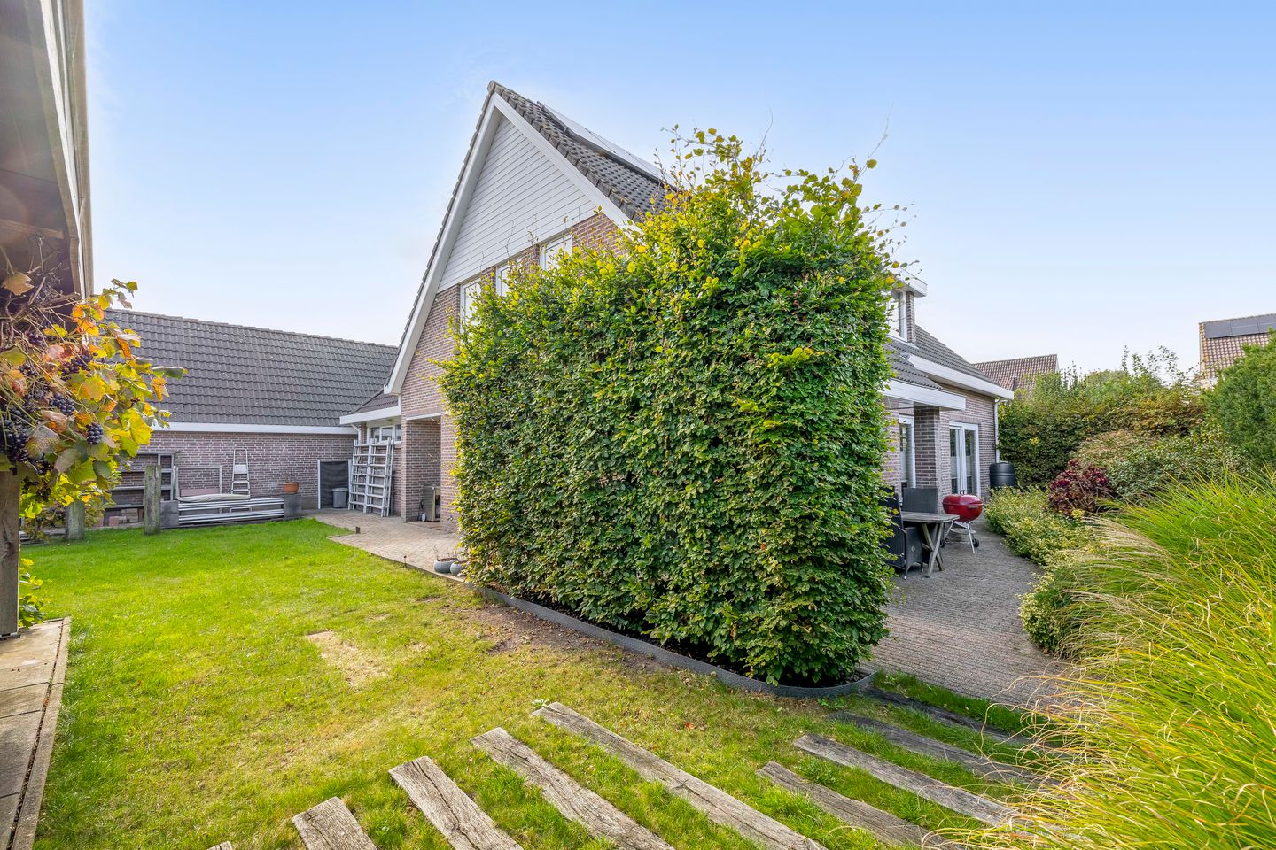 Foto 4 van Oesterzwam 26