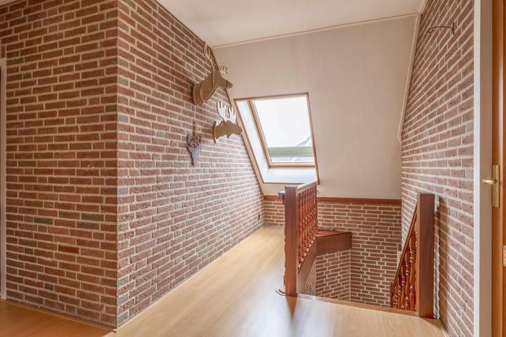 Foto 26 van Oesterzwam 26