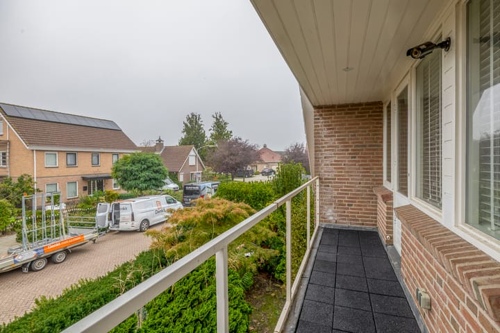 Foto 30 van Oesterzwam 26