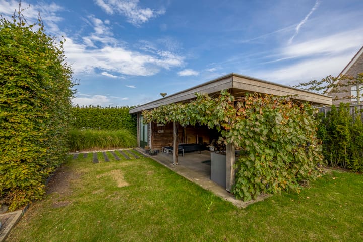 Foto 46 van Oesterzwam 26