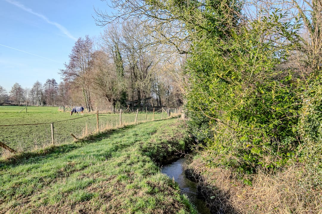 Foto 13 van Brommelen 21