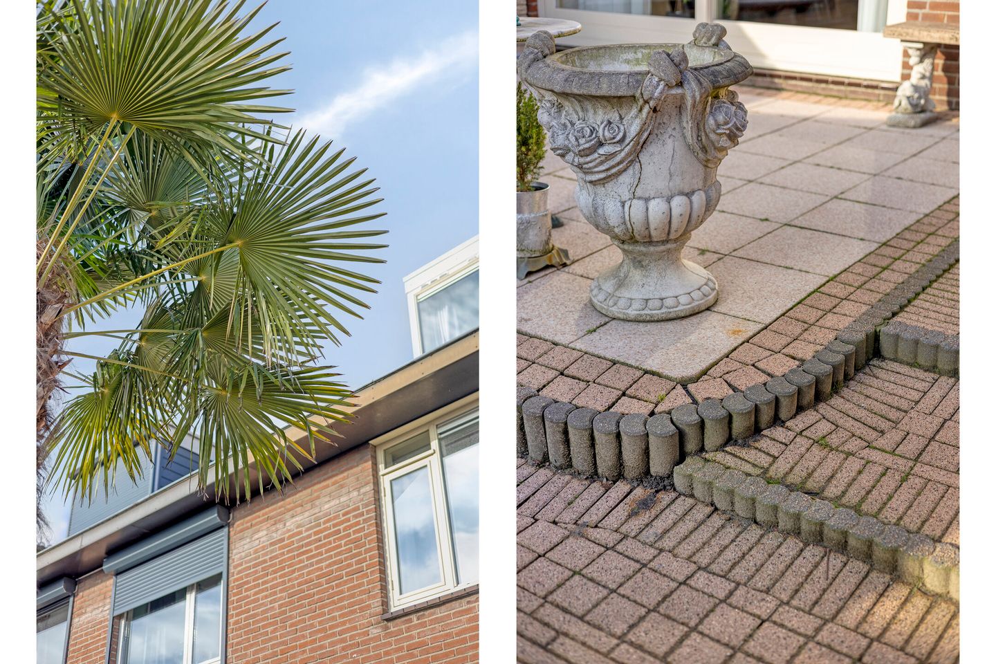 Foto 44 van Schout Eeuwoutstraat 46