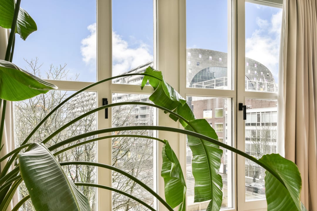 Foto 32 van Zijl 10-C