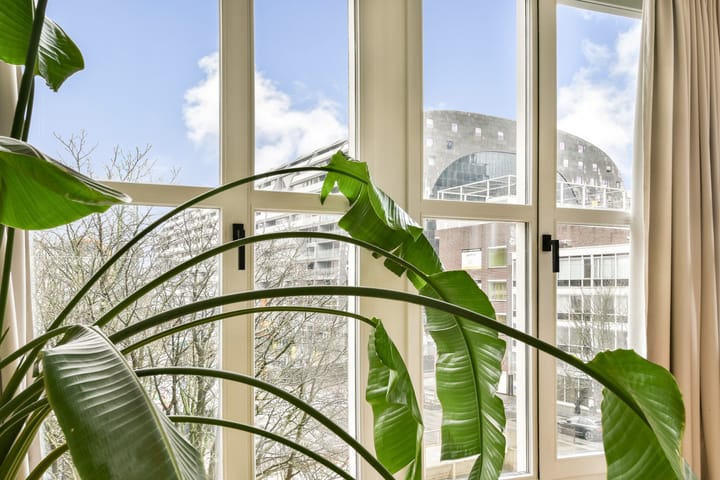 Foto 32 van Zijl 10-C