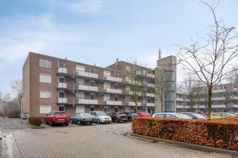 Terneuzenstraat thumbnail