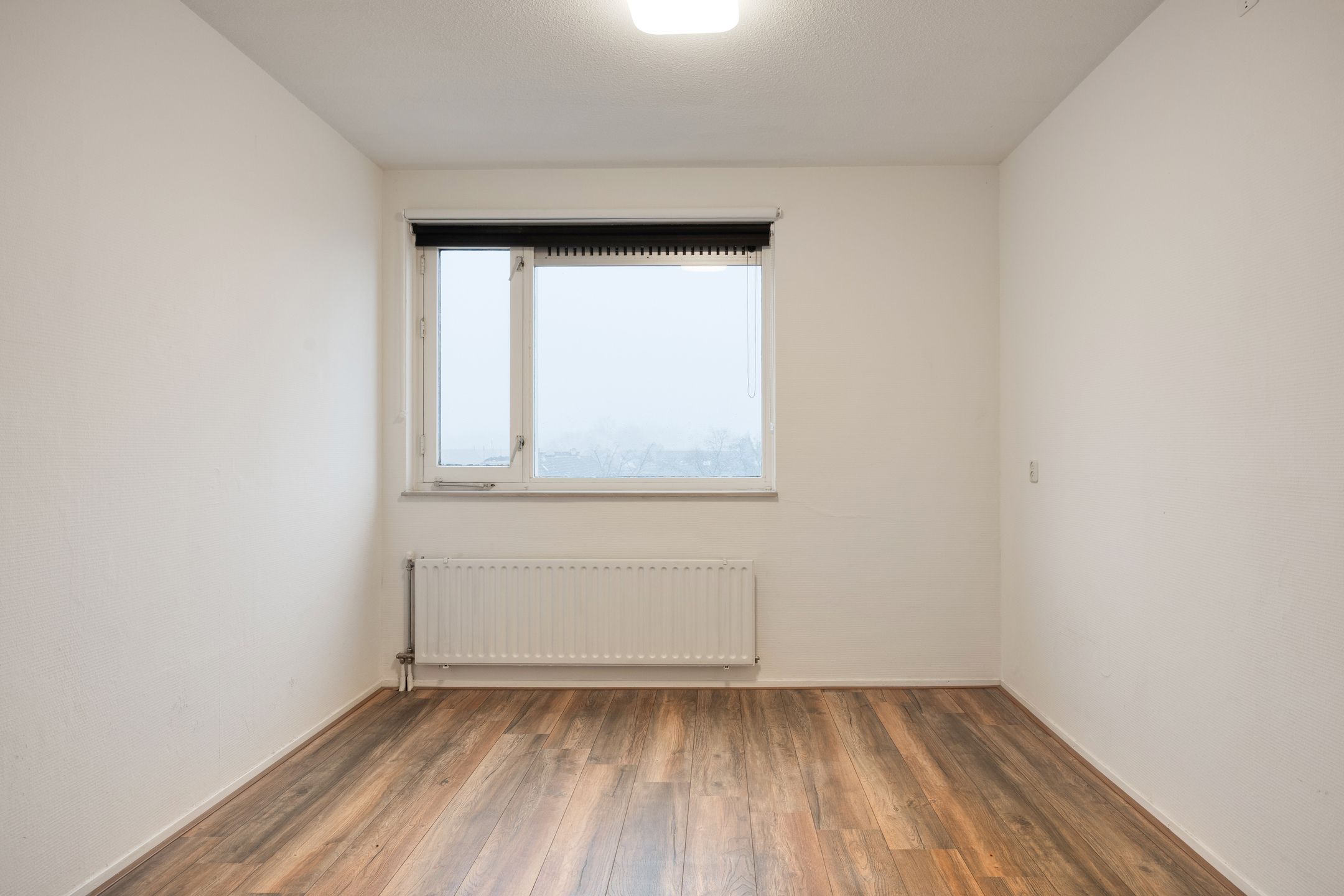 Foto 9 van Terneuzenstraat 137