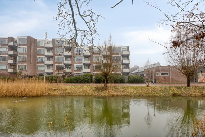 Foto 18 van Terneuzenstraat 137