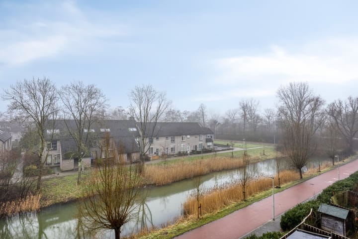 Foto 21 van Terneuzenstraat 137