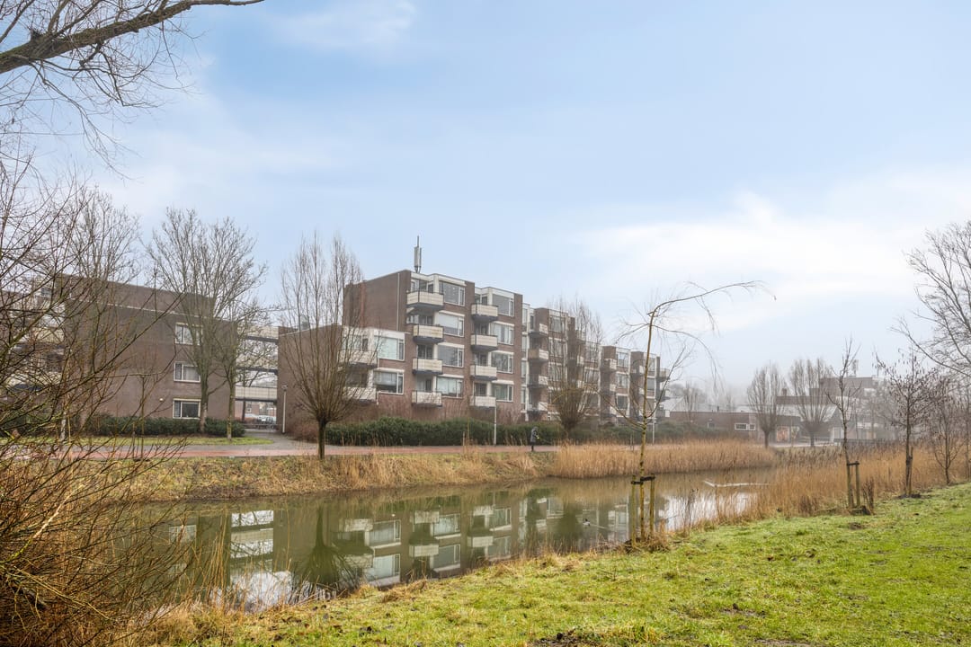 Foto 22 van Terneuzenstraat 137