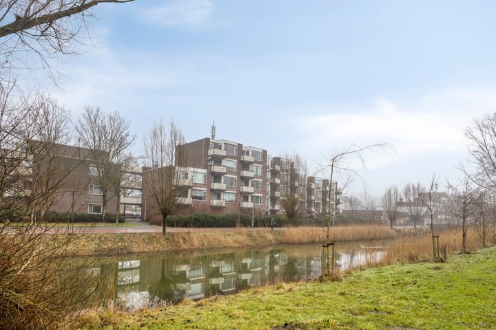 Foto 22 van Terneuzenstraat 137