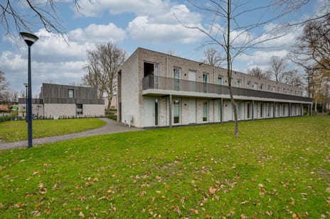 Omgang 12 tertiary image