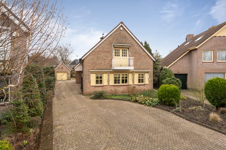 Blauwe Reiger 6 main image