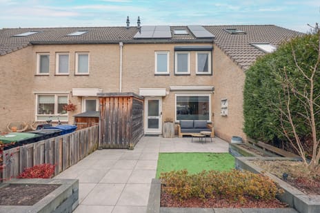 undefined main image