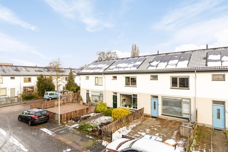 undefined main image