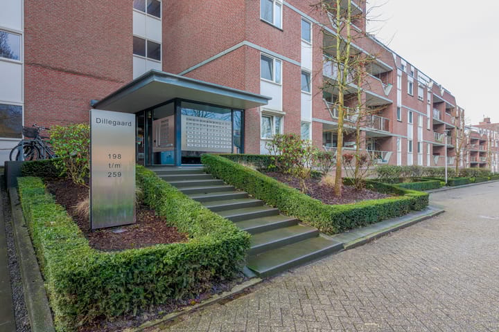 Foto 5 van Dillegaard 245