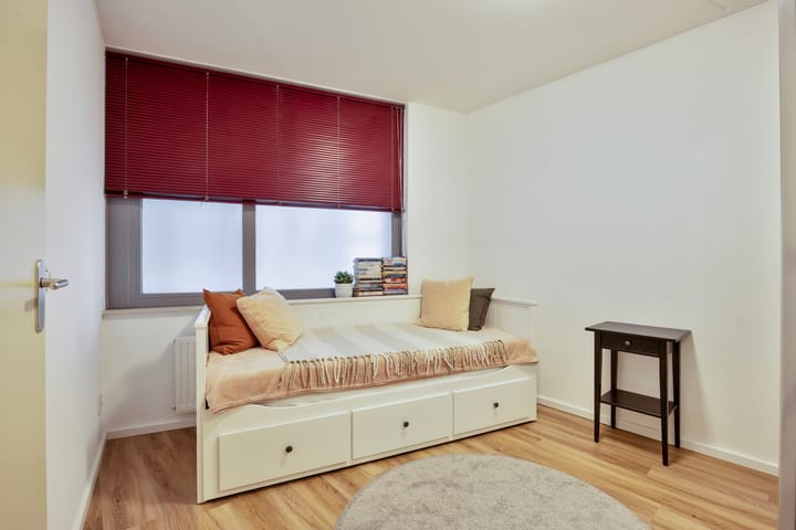 Foto 19 van Saenredamstraat 69