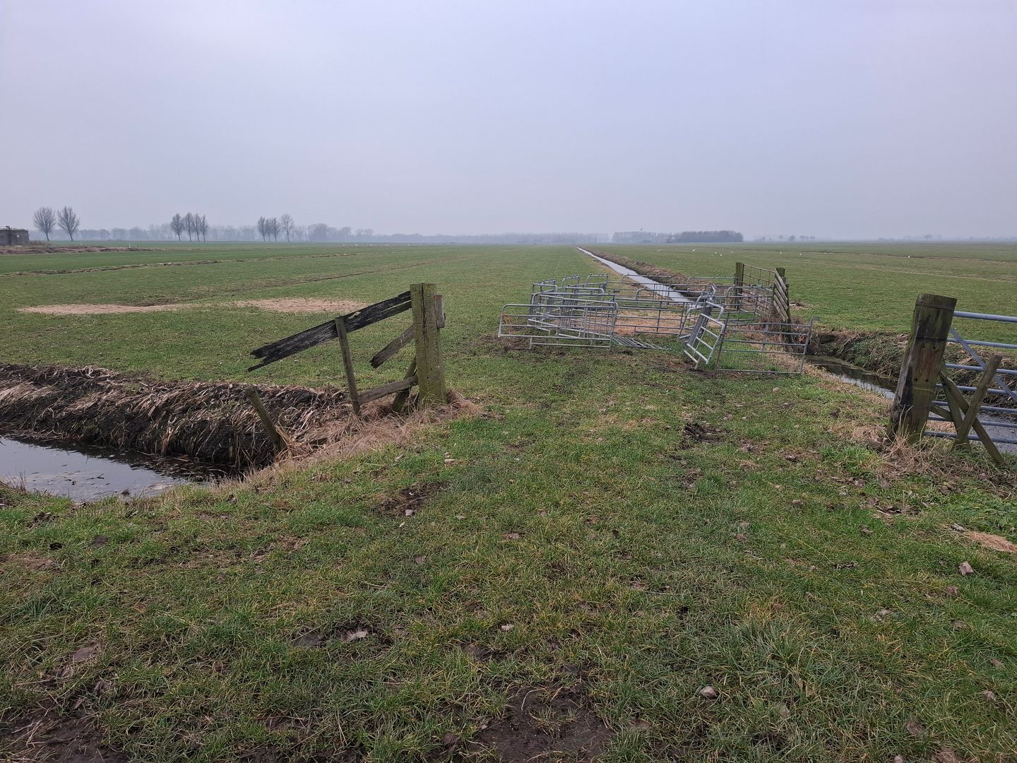 Bekijk foto 4 van Aaksterveldsesteeg