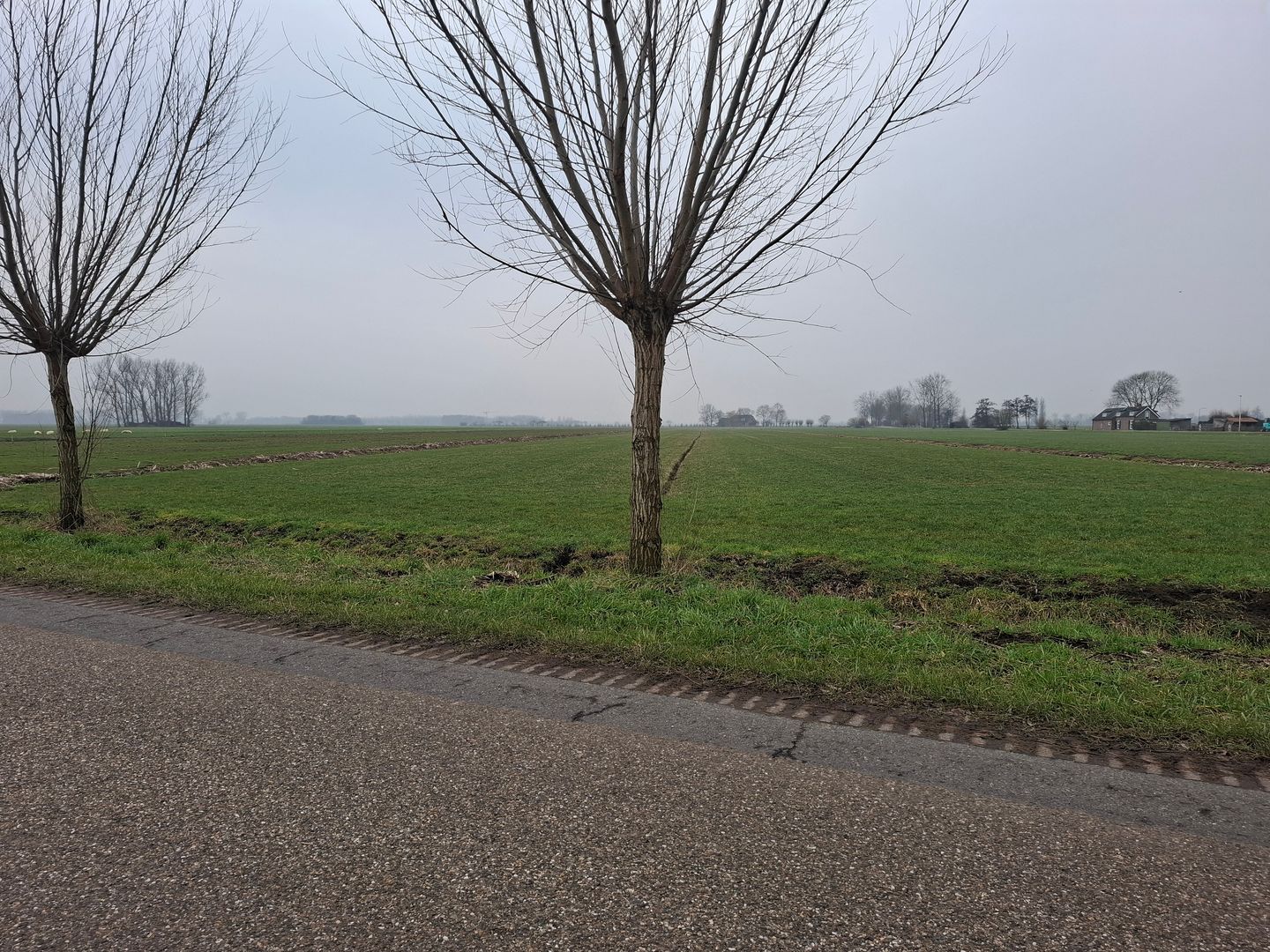 Bekijk foto 5 van Aaksterveldsesteeg