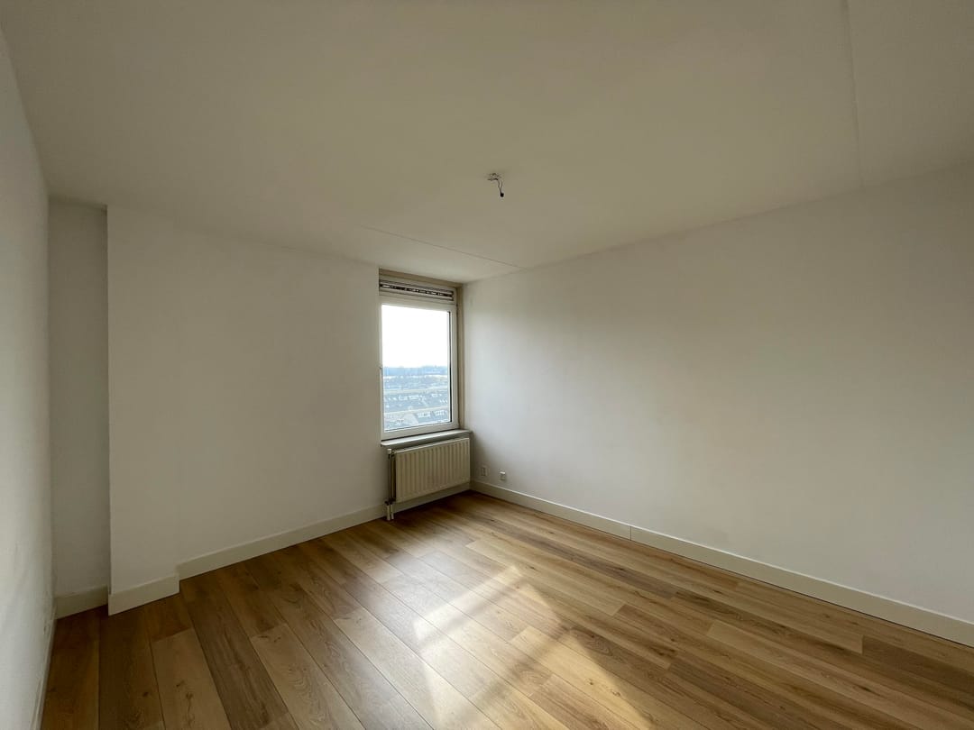 Foto 7 van Hermelijnvlinder 63