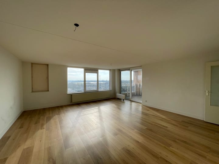 Foto 5 van Hermelijnvlinder 63