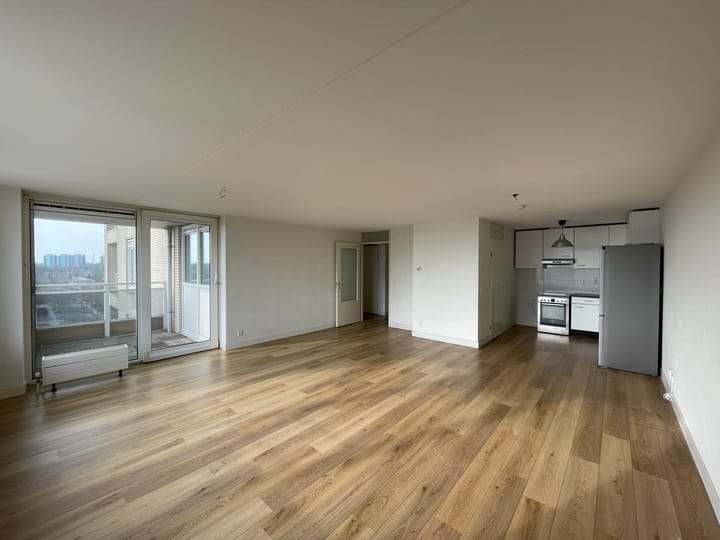 Foto 4 van Hermelijnvlinder 63