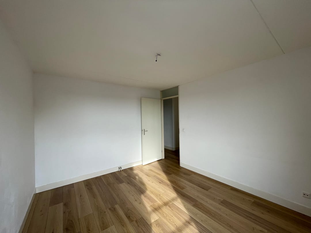 Foto 8 van Hermelijnvlinder 63