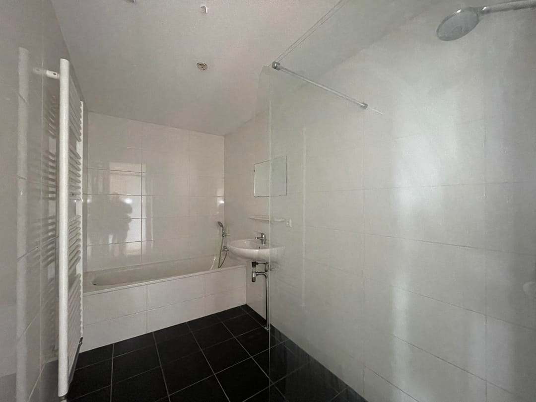 Foto 11 van Hermelijnvlinder 63