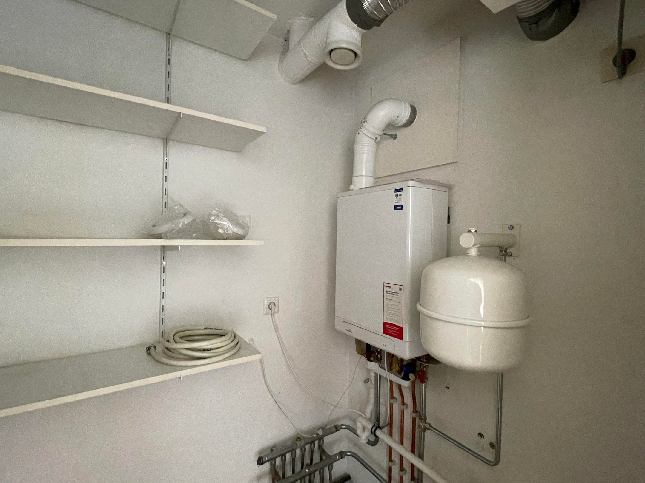 Foto 15 van Hermelijnvlinder 63