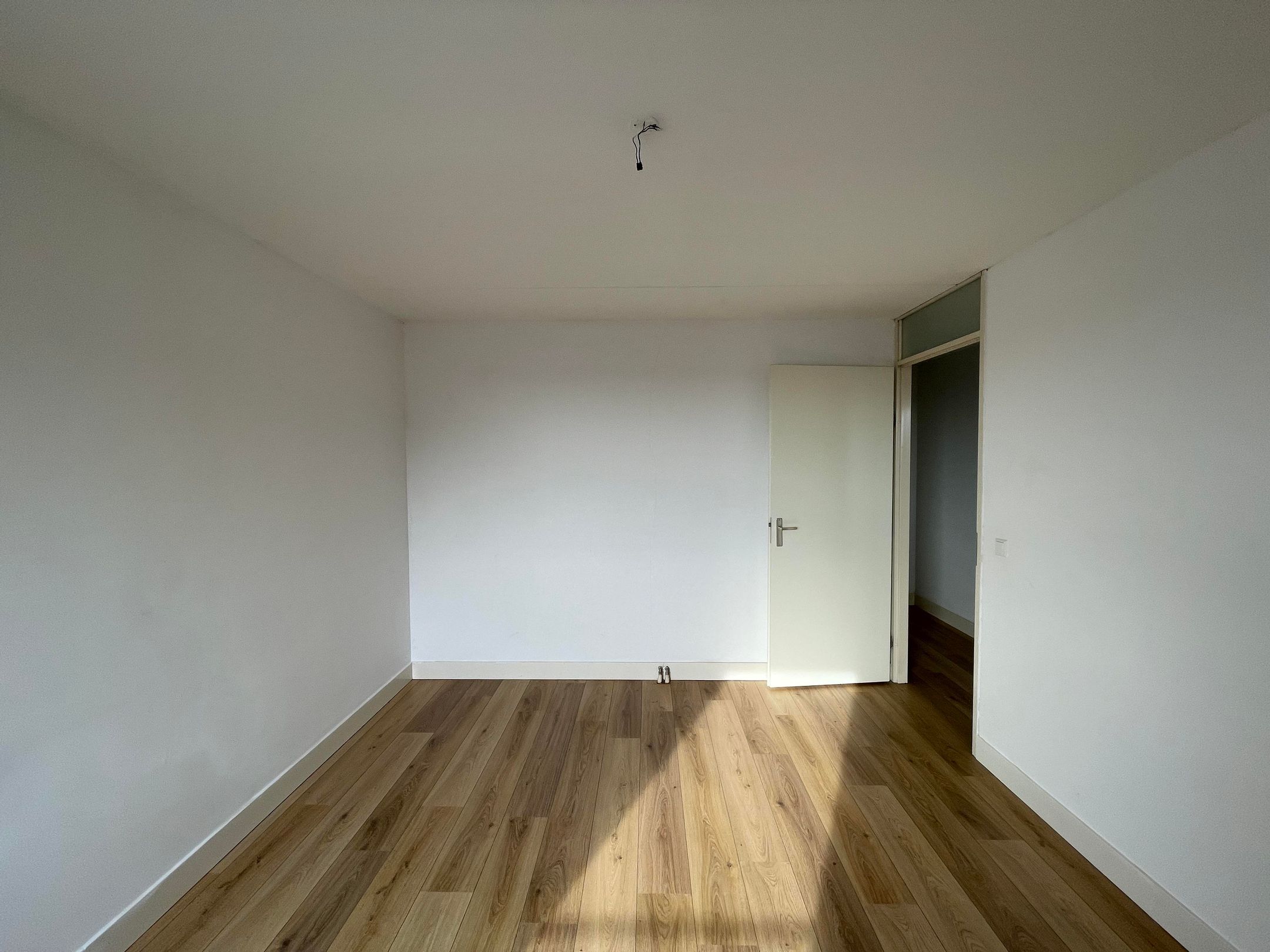 Foto 9 van Hermelijnvlinder 63