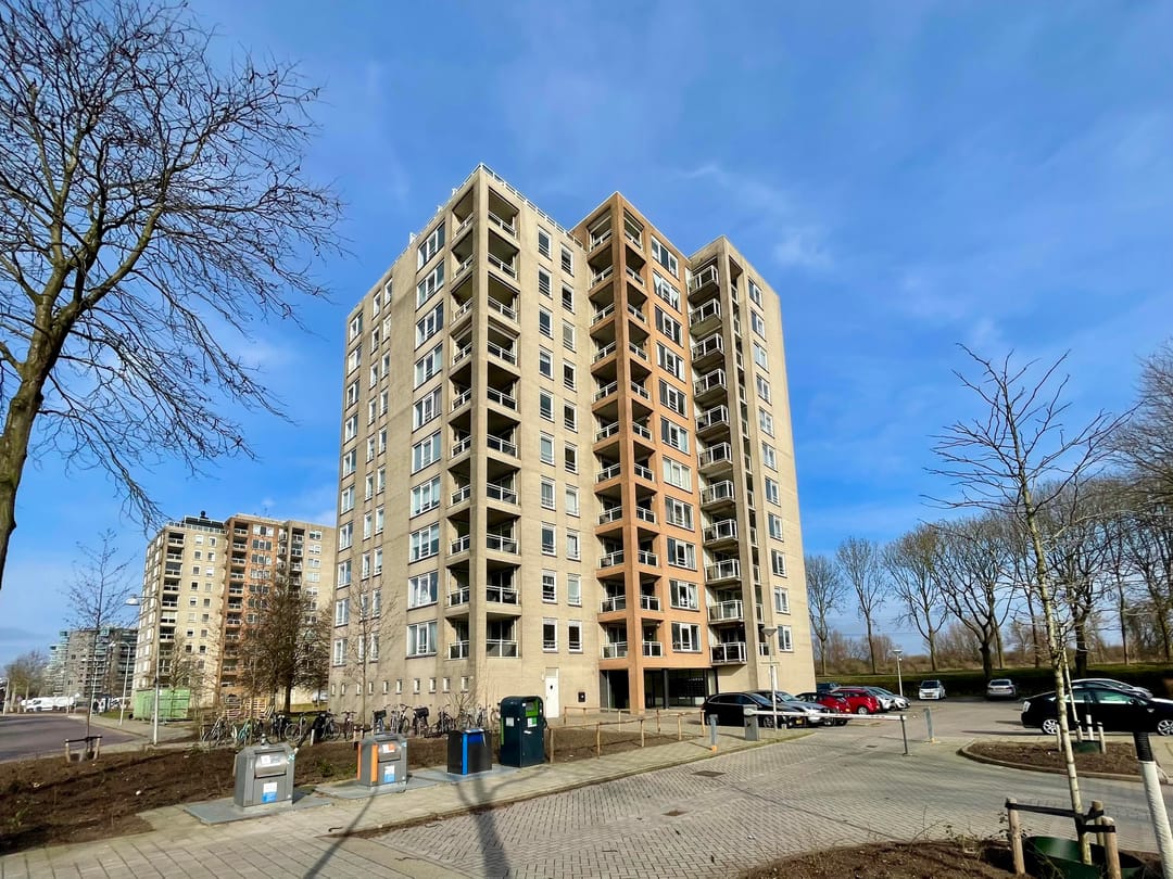 Foto 2 van Hermelijnvlinder 63