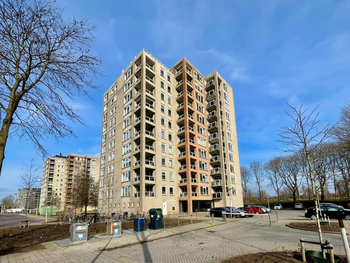 Foto 2 van Hermelijnvlinder 63