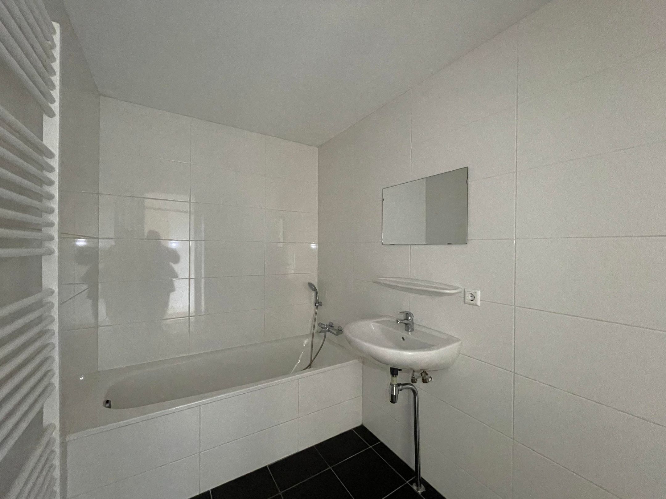 Foto 12 van Hermelijnvlinder 63