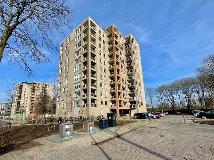 Photo 2 of Hermelijnvlinder 7