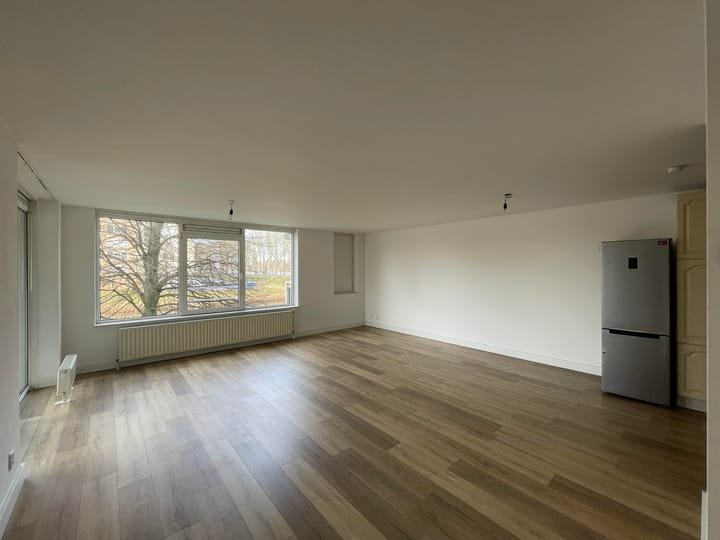 Photo 5 of Hermelijnvlinder 7