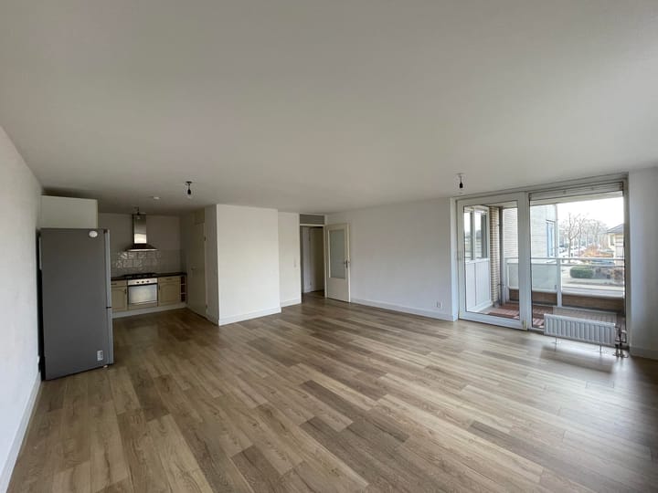 Photo 7 of Hermelijnvlinder 7