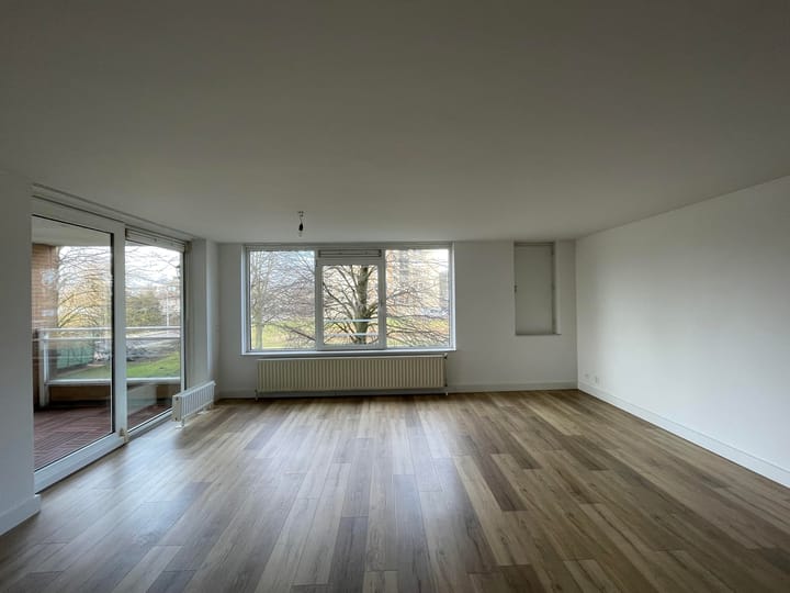 Photo 6 of Hermelijnvlinder 7