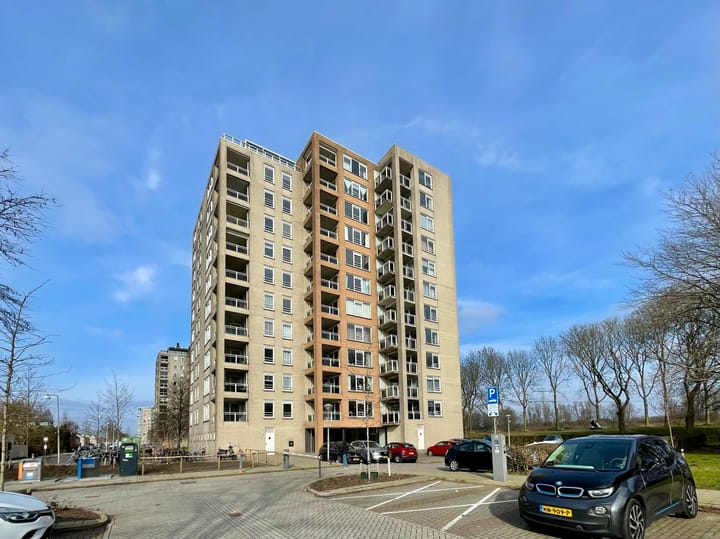 Photo 1 of Hermelijnvlinder 7