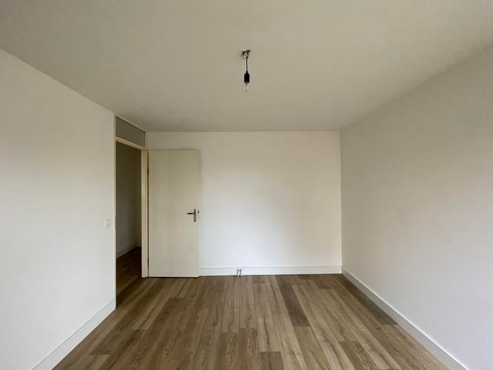 Photo 12 of Hermelijnvlinder 7