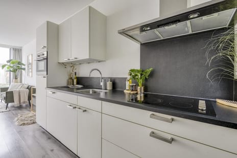 Westerdijk 4-0413 tertiary image