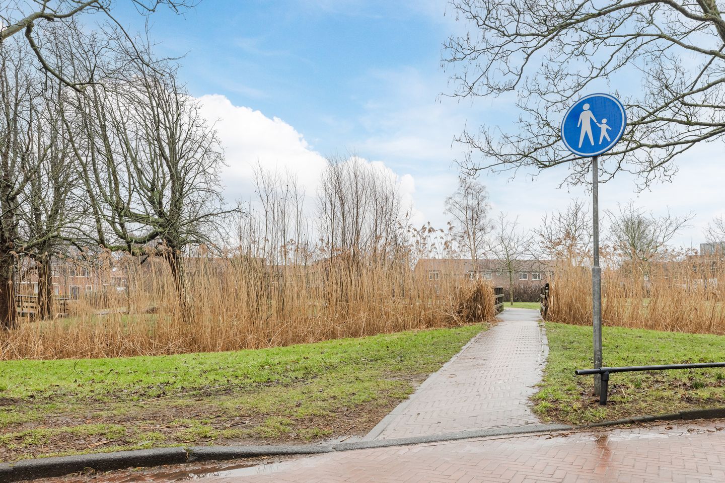 Foto 40 van Hasebroekstraat 13