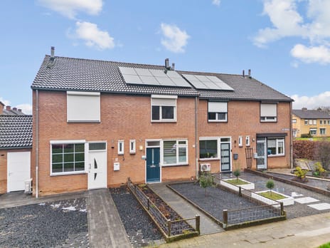 Jan Steenstraat thumbnail