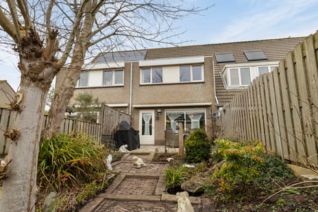 Da Palestrinastraat 87 secondary image