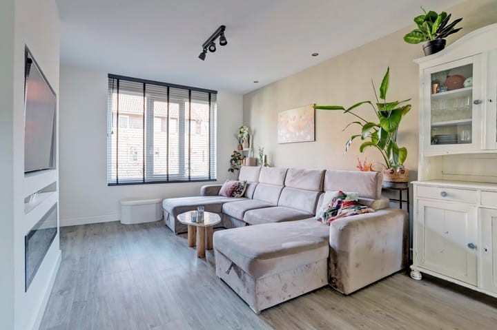 Photo 6 of Pastinaak 3