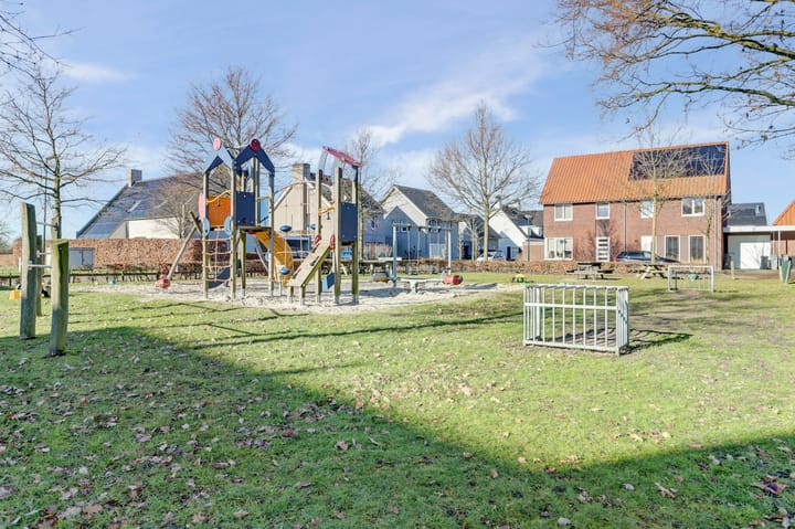 Photo 3 of Pastinaak 3