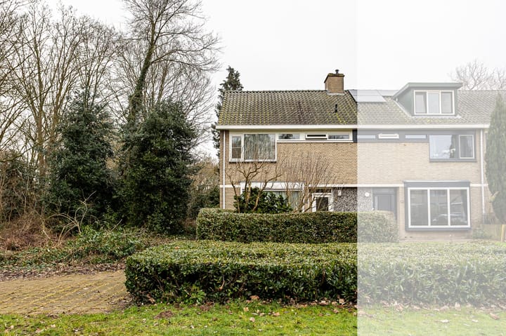 Foto 3 van Lankforst 3001